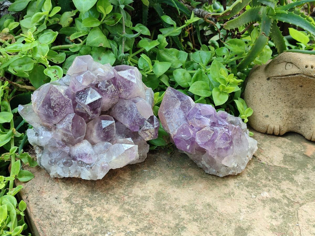Natural Jacaranda Amethyst Crystal Clusters x 2 From Mumbwa, Zambia - Toprock Gemstones and Minerals 