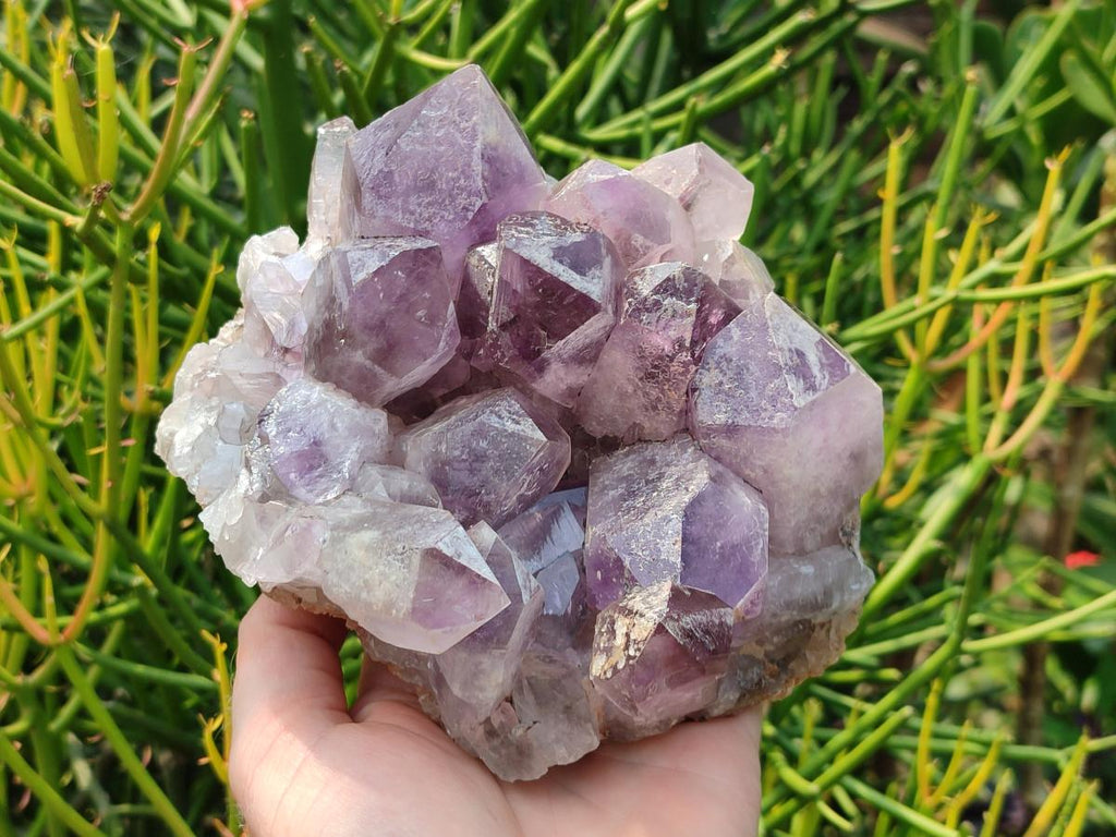 Natural Jacaranda Amethyst Crystal Clusters x 2 From Mumbwa, Zambia - Toprock Gemstones and Minerals 