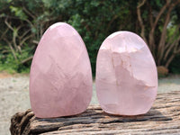 Polished Rose Quartz Standing Free Forms x 2 From Madagascar