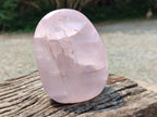 Polished Rose Quartz Standing Free Forms x 2 From Madagascar