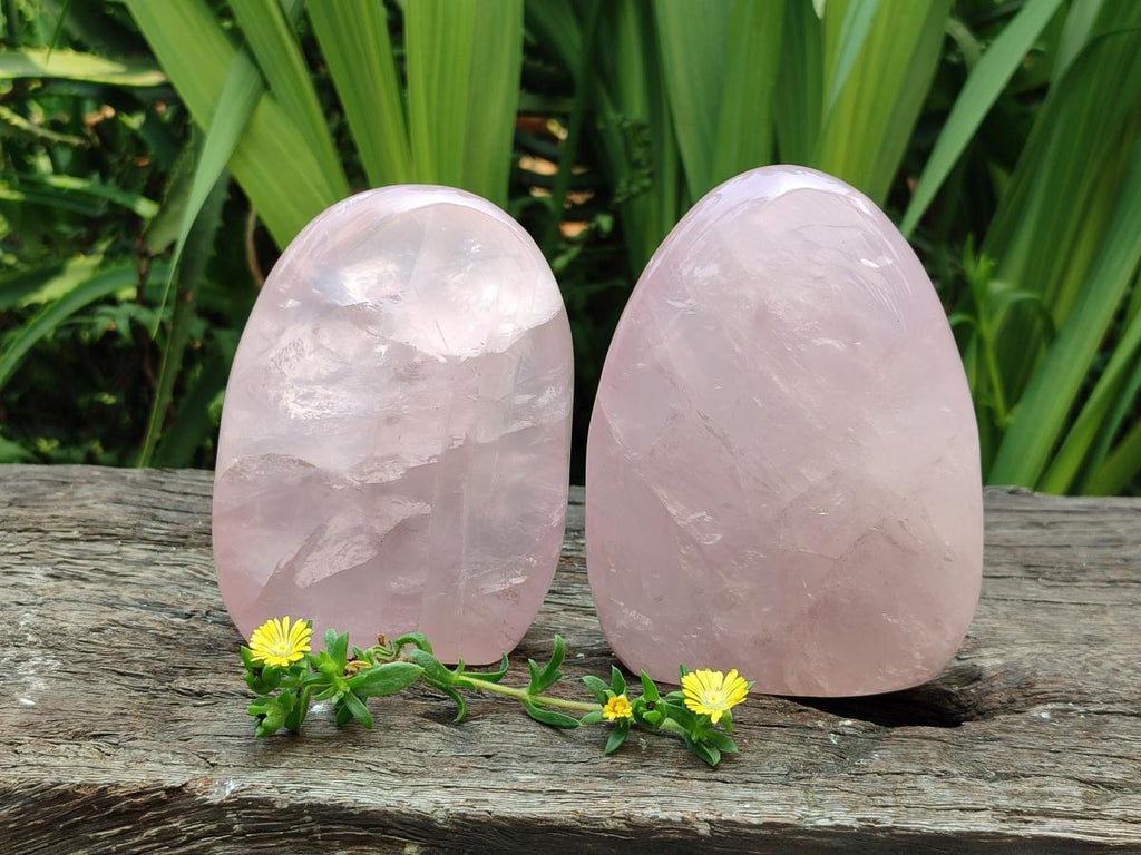 Polished Rose Quartz Standing Free Forms x 2 From Madagascar