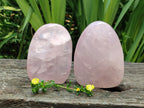Polished Rose Quartz Standing Free Forms x 2 From Madagascar