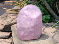 Polished Rose Quartz Standing Free Forms x 2 From Madagascar