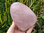 Polished Rose Quartz Standing Free Forms x 2 From Madagascar