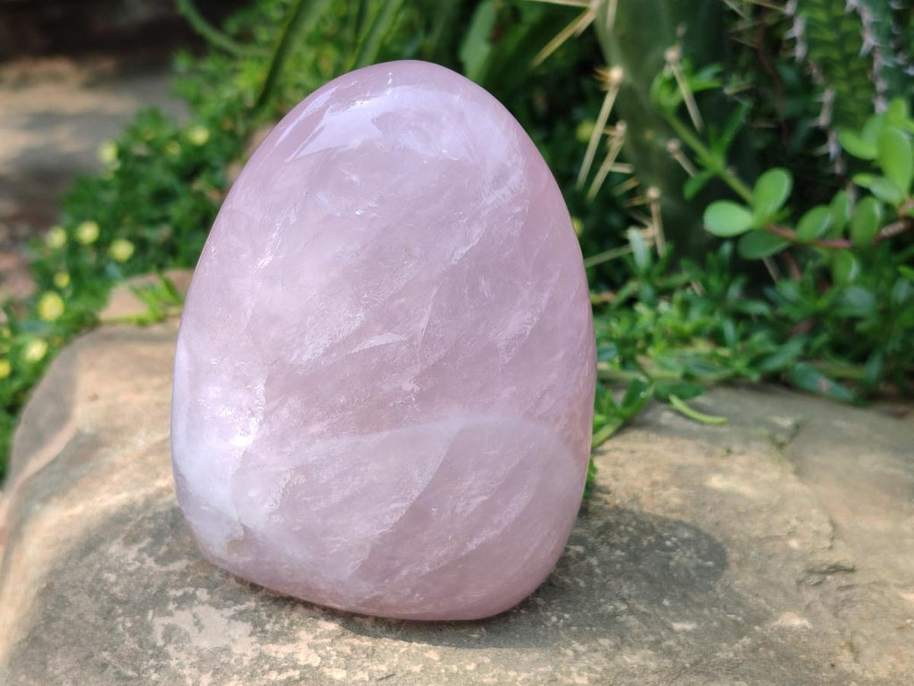 Polished Rose Quartz Standing Free Forms x 2 From Madagascar