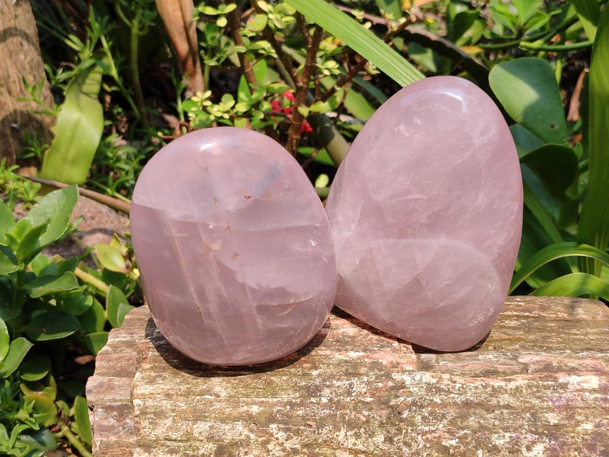 Polished Rose Quartz Standing Free Forms x 2 From Madagascar
