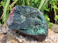 Natural Libethenite Crystals On Dolomite Matrix Specimens x 2 From Shituru, Congo