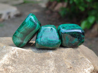 Polished Flower Banded Malachite Free Forms x 35 From Congo