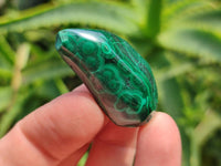 Polished Flower Banded Malachite Free Forms x 35 From Congo
