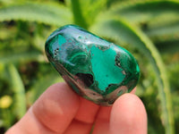Polished Flower Banded Malachite Free Forms x 35 From Congo