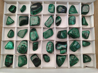Polished Flower Banded Malachite Free Forms x 35 From Congo