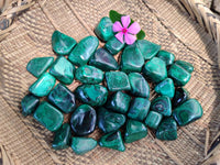 Polished Flower Banded Malachite Free Forms x 35 From Congo