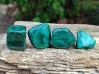 Polished Flower Banded Malachite Free Forms x 35 From Congo