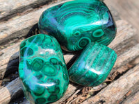 Polished Flower Banded Malachite Free Forms x 35 From Congo
