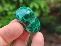 Polished Flower Banded Malachite Free Forms x 35 From Congo