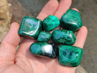 Polished Flower Banded Malachite Free Forms x 35 From Congo