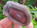 Polished On One Side Red Shashe River Agate Nodules x 24 From Shashe River, Zimbabwe