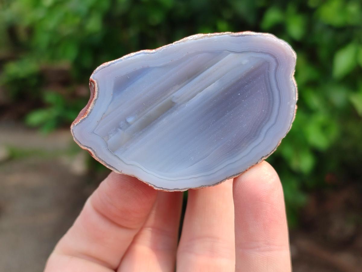 Polished On One Side Red Shashe River Agate Nodules x 24 From Shashe River, Zimbabwe