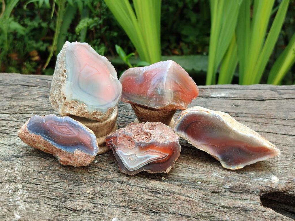 Polished On One Side Red Shashe River Agate Nodules x 24 From Shashe River, Zimbabwe
