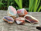 Polished On One Side Red Shashe River Agate Nodules x 24 From Shashe River, Zimbabwe