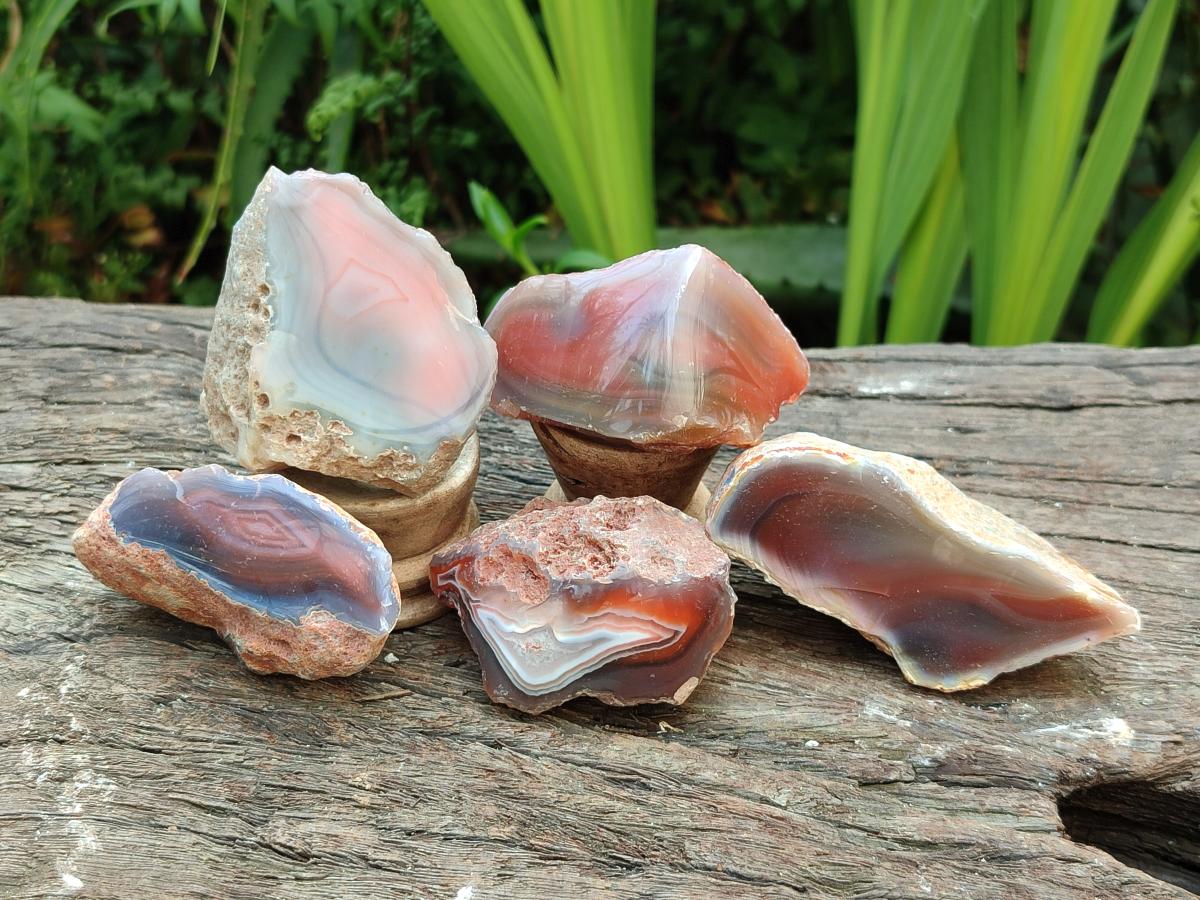 Polished On One Side Red Shashe River Agate Nodules x 24 From Shashe River, Zimbabwe