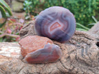 Polished On One Side Red Shashe River Agate Nodules x 24 From Shashe River, Zimbabwe