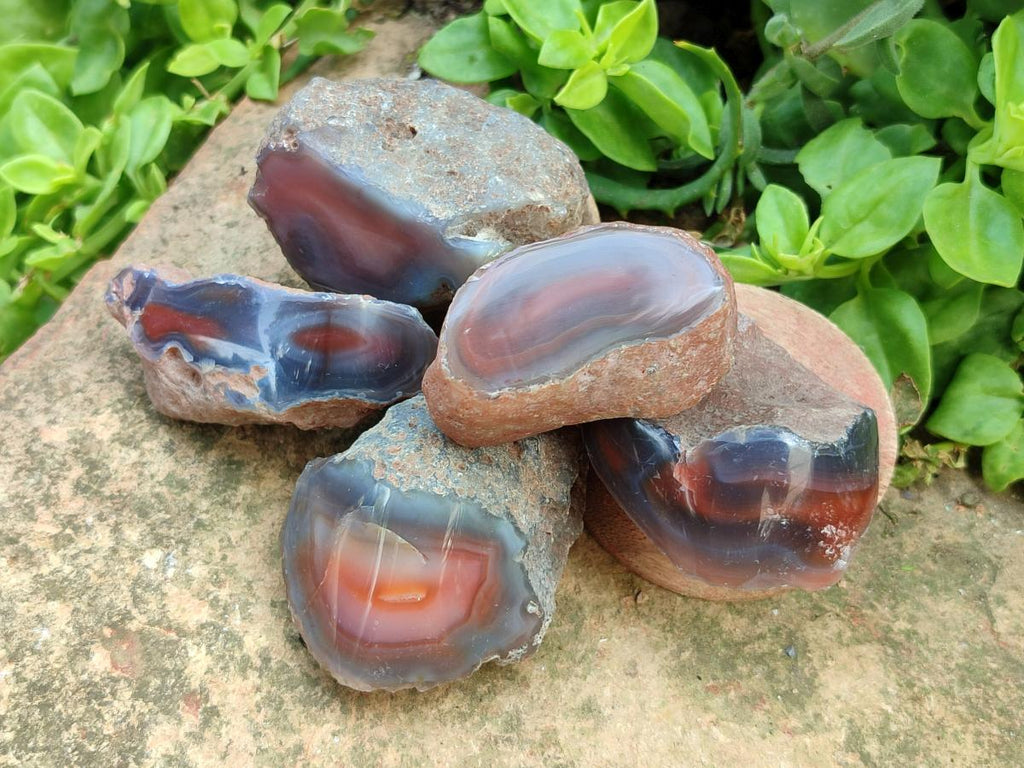 Polished On One Side Red Shashe River Agate Nodules x 24 From Shashe River, Zimbabwe