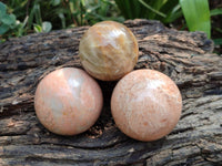 Polished Peach Moonstone Spheres x 6 From Madagascar