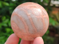 Polished Peach Moonstone Spheres x 6 From Madagascar
