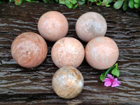 Polished Peach Moonstone Spheres x 6 From Madagascar