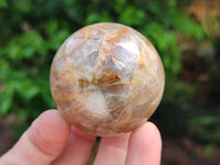 Polished Peach Moonstone Spheres x 6 From Madagascar