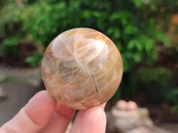 Polished Peach Moonstone Spheres x 6 From Madagascar