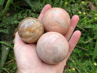 Polished Peach Moonstone Spheres x 6 From Madagascar