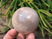 Polished Peach Moonstone Spheres x 6 From Madagascar