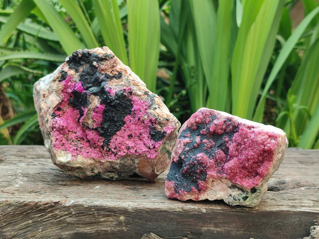 Natural Salrose Cobaltion Dolomite with Heterogenite Specimens x 2 From Kakanda, Congo