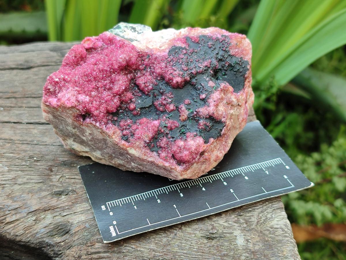 Natural Salrose Cobaltion Dolomite with Heterogenite Specimens x 2 From Kakanda, Congo