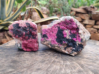 Natural Salrose Cobaltion Dolomite with Heterogenite Specimens x 2 From Kakanda, Congo