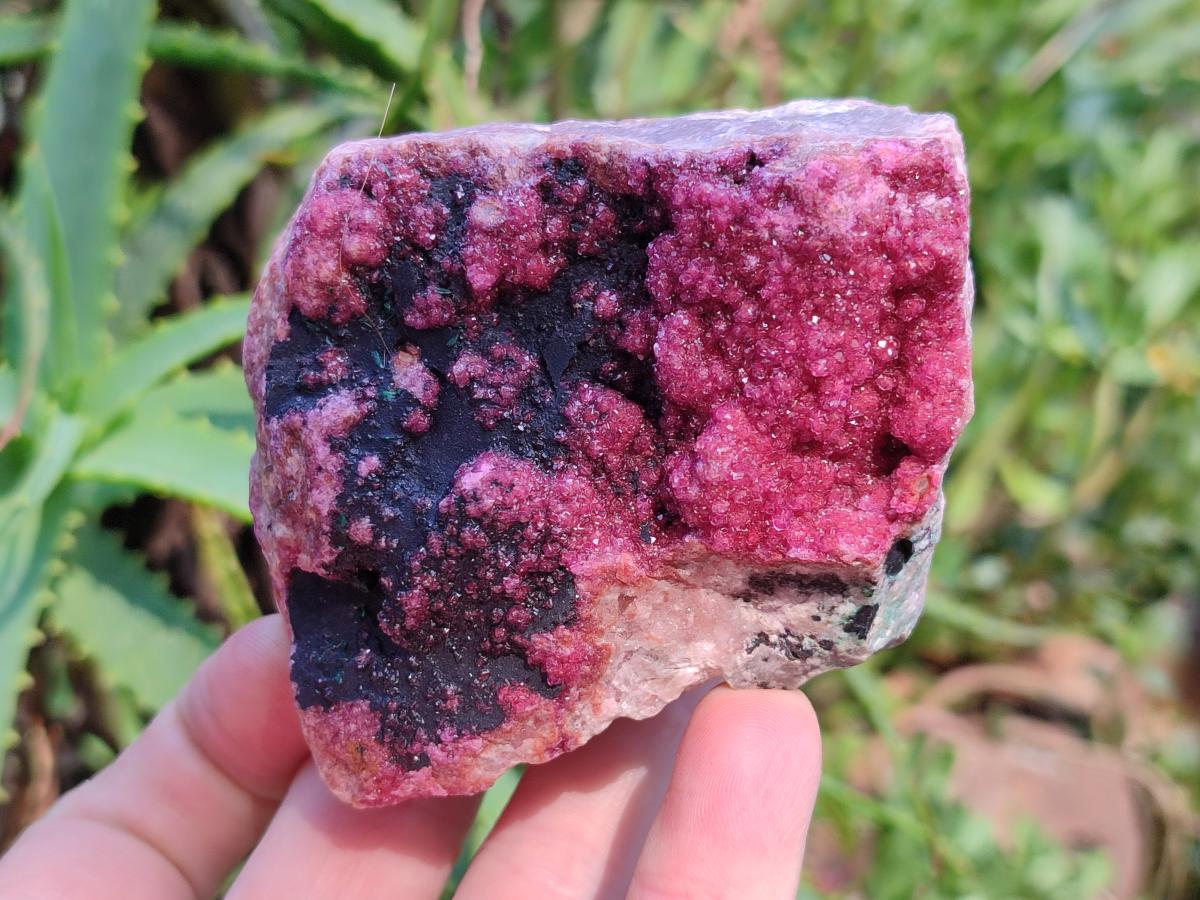 Natural Salrose Cobaltion Dolomite with Heterogenite Specimens x 2 From Kakanda, Congo