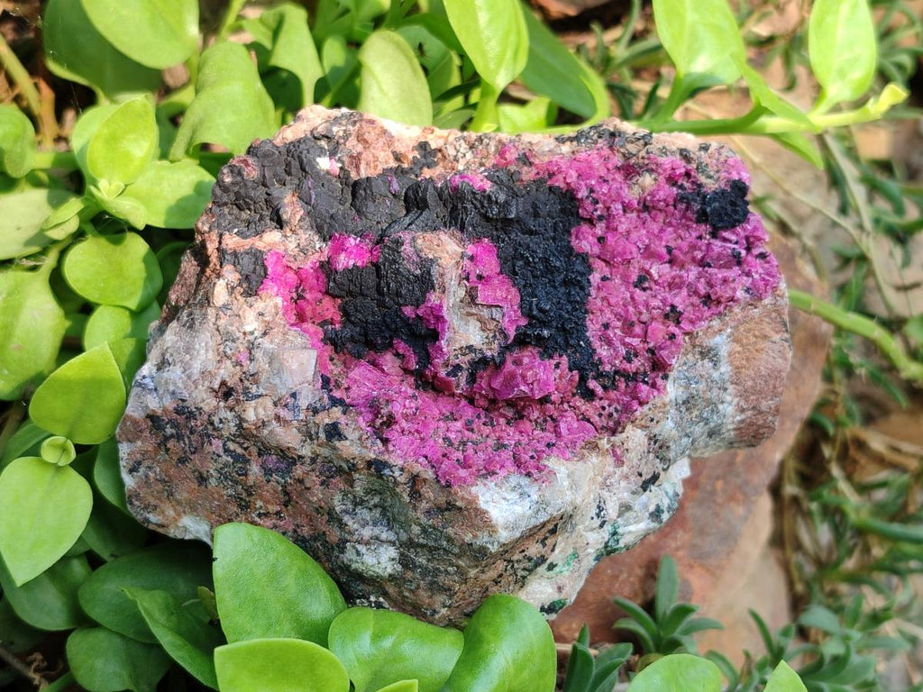 Natural Salrose Cobaltion Dolomite with Heterogenite Specimens x 2 From Kakanda, Congo