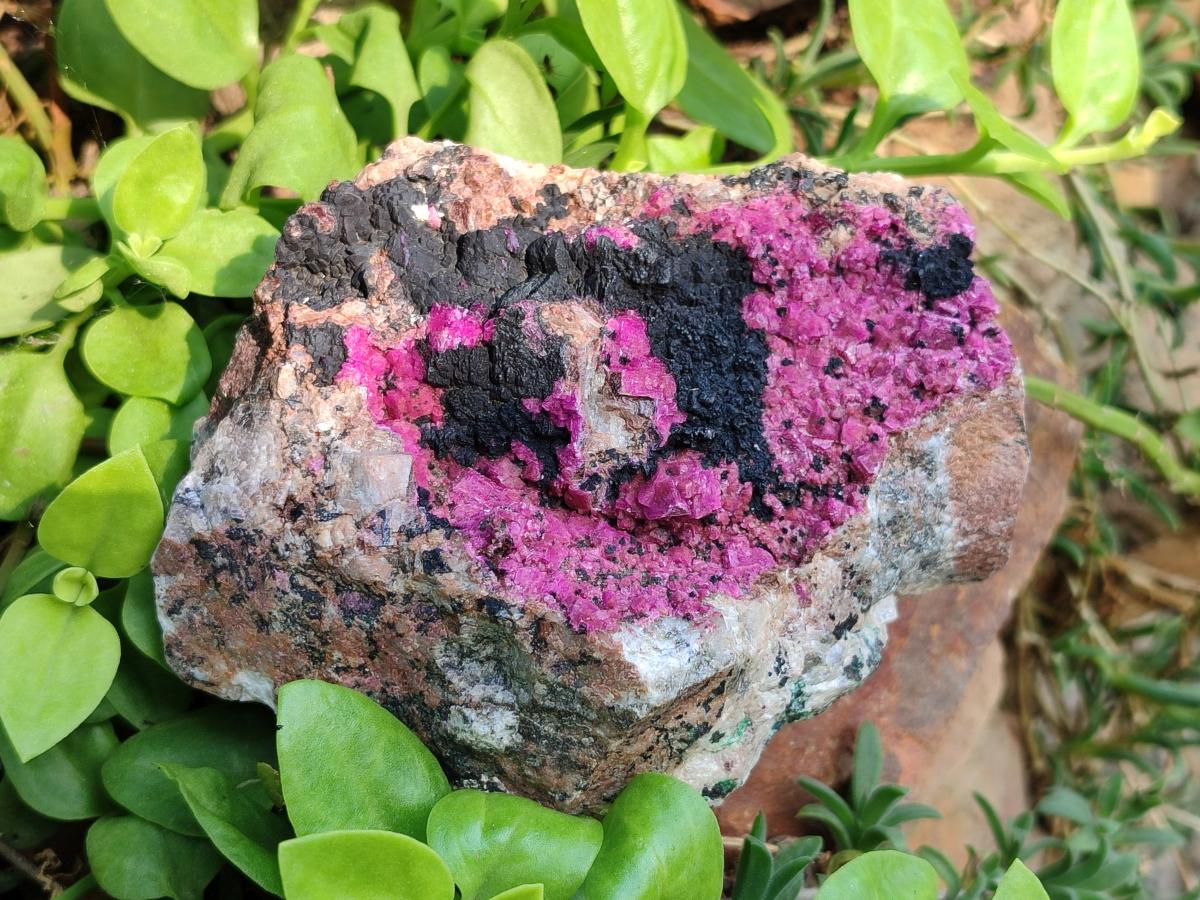 Natural Salrose Cobaltion Dolomite with Heterogenite Specimens x 2 From Kakanda, Congo