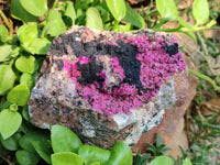 Natural Salrose Cobaltion Dolomite with Heterogenite Specimens x 2 From Kakanda, Congo