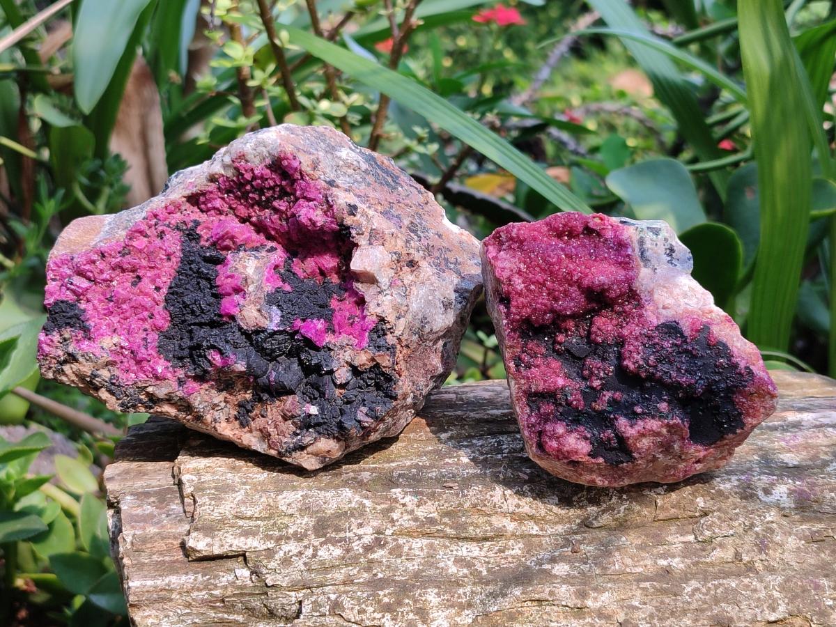 Natural Salrose Cobaltion Dolomite with Heterogenite Specimens x 2 From Kakanda, Congo