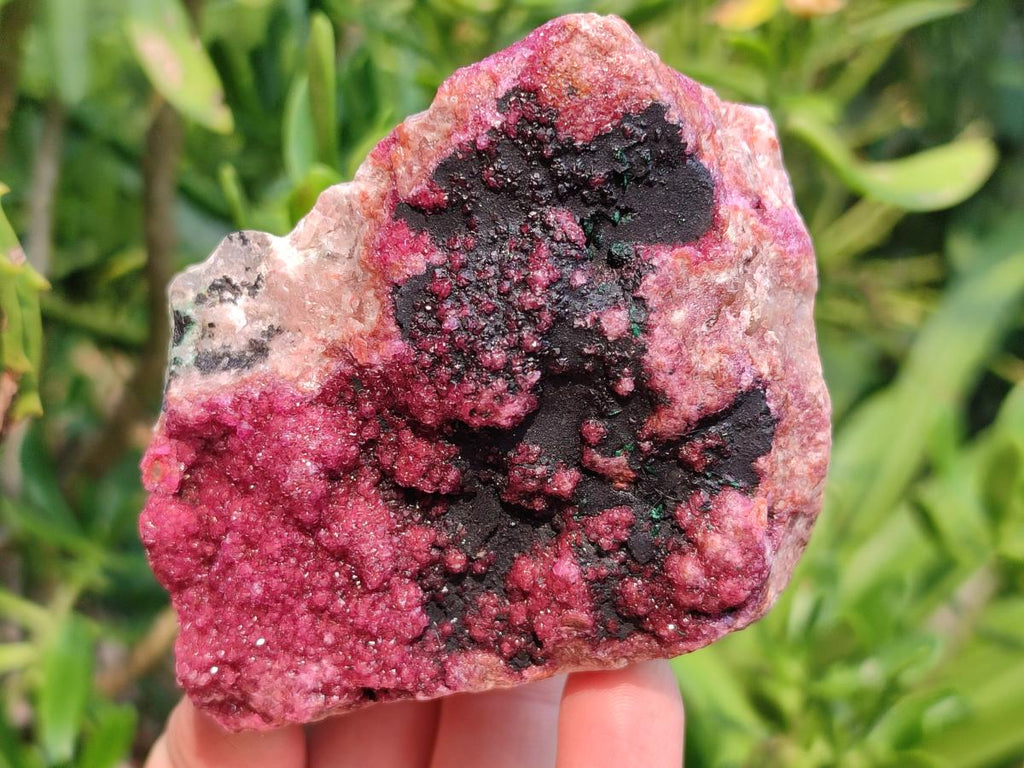 Natural Salrose Cobaltion Dolomite with Heterogenite Specimens x 2 From Kakanda, Congo