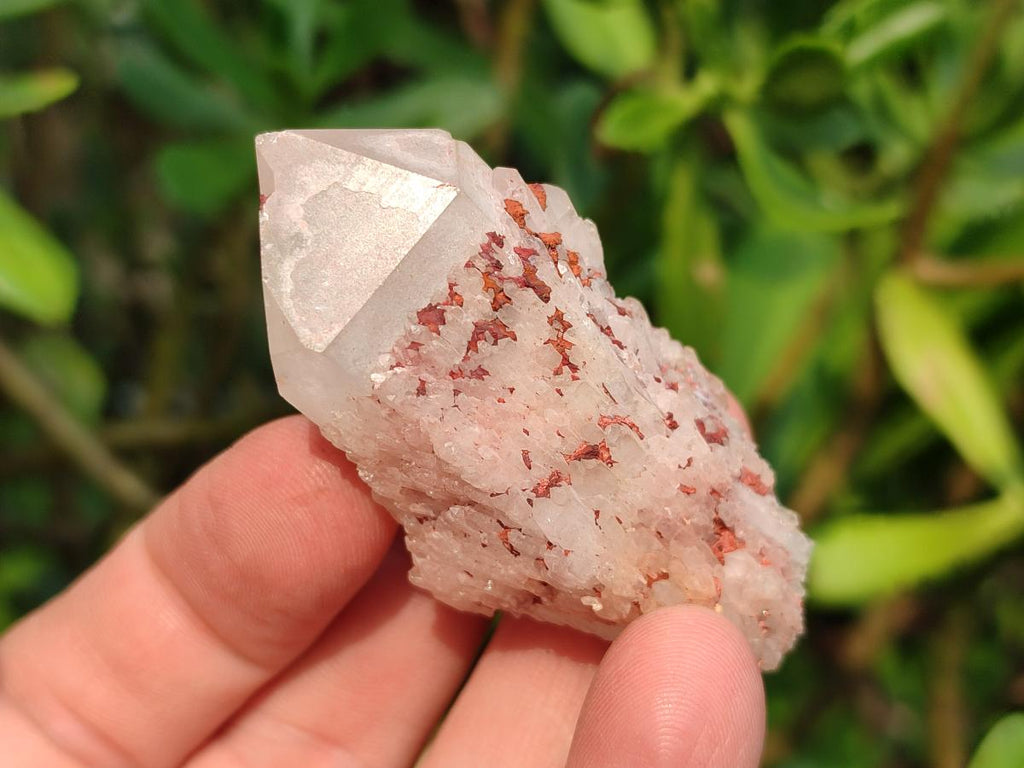 Natural Hematoid Coated Candle Quartz Crystals x 35 From Antsirabe, Madagascar