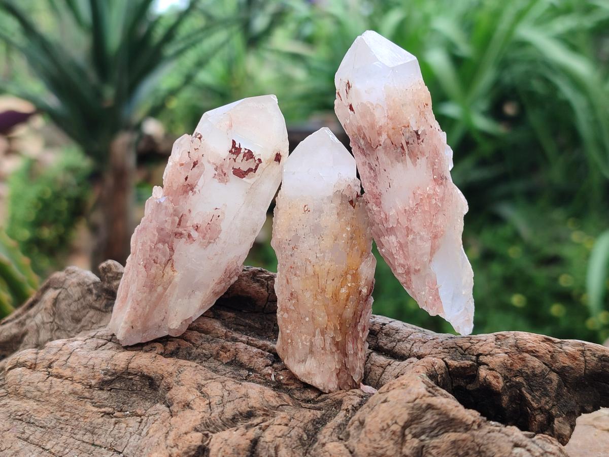 Natural Hematoid Coated Candle Quartz Crystals x 35 From Antsirabe, Madagascar