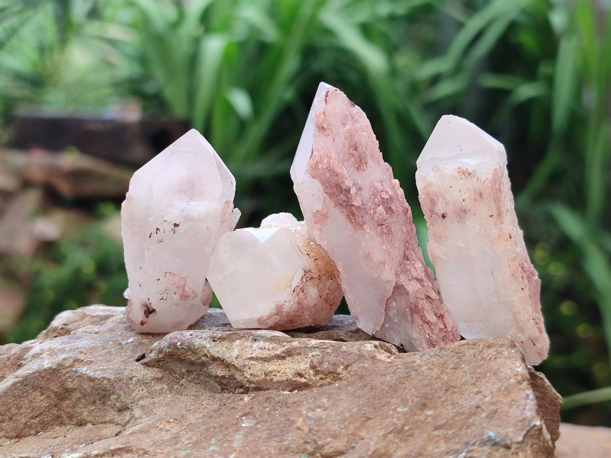 Natural Hematoid Coated Candle Quartz Crystals x 35 From Antsirabe, Madagascar