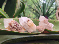 Natural Hematoid Coated Candle Quartz Crystals x 35 From Antsirabe, Madagascar