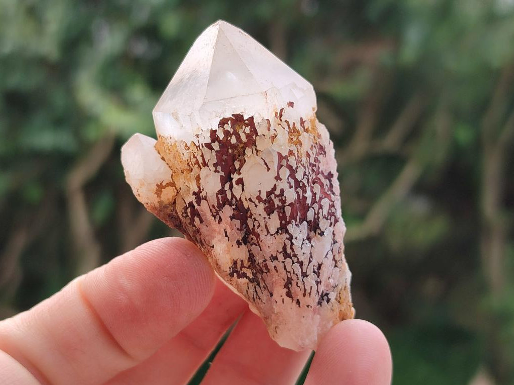 Natural Hematoid Coated Candle Quartz Crystals x 35 From Antsirabe, Madagascar