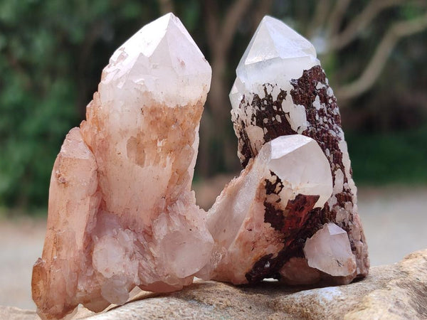 Natural Hematoid Coated Candle Quartz Crystals x 35 From Antsirabe, Madagascar