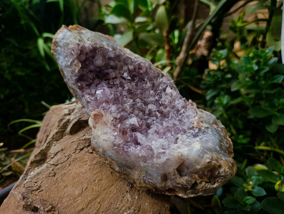 Natural Amethyst Agate Geode Plates x 2 From Zululand, South Africa - Toprock Gemstones and Minerals 